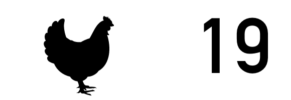 毎月19日
