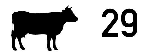 毎月29日
